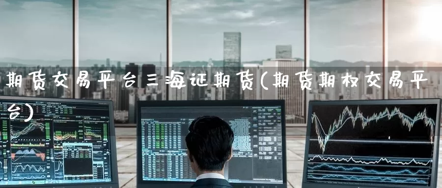 期货交易平台三海证期货(期货期权交易平台)_https://www.upaiseo.net_国际期货直播_第1张